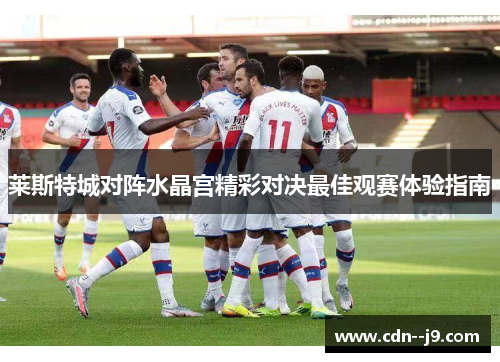 莱斯特城对阵水晶宫精彩对决最佳观赛体验指南
