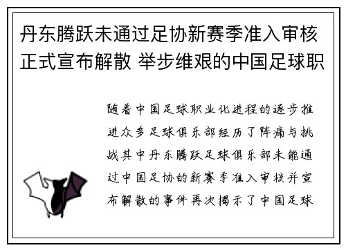 丹东腾跃未通过足协新赛季准入审核正式宣布解散 举步维艰的中国足球职业化困境再现